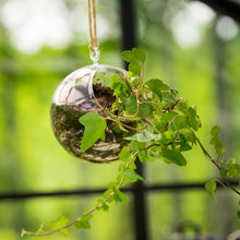 Load image into Gallery viewer, Colourful Glass Hanging Globes
