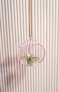 Colourful Glass Hanging Globes