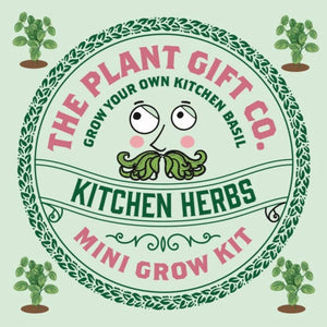 Eco Mini Grow Kit - Kitchen Herbs / Basil