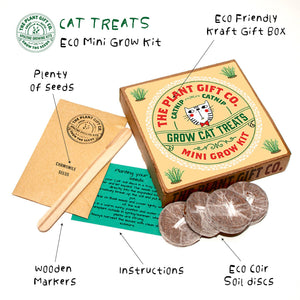 Eco Mini Grow Kit - Cat Nip / Nepeta cataria