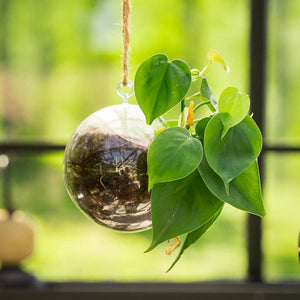 Colourful Glass Hanging Globes