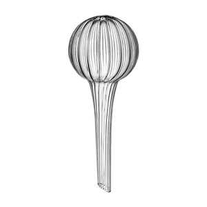 Glass Watering Bulbs