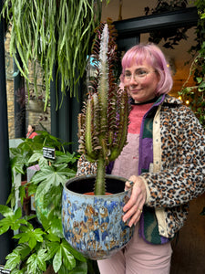 Euphorbia trigona Rubra / African Milk Tree - *Local Delivery or Local Pick Up Only*