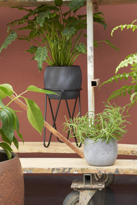 Black Curved Metal Plant Stands - *Local Delivery or Local Pick Up Only*