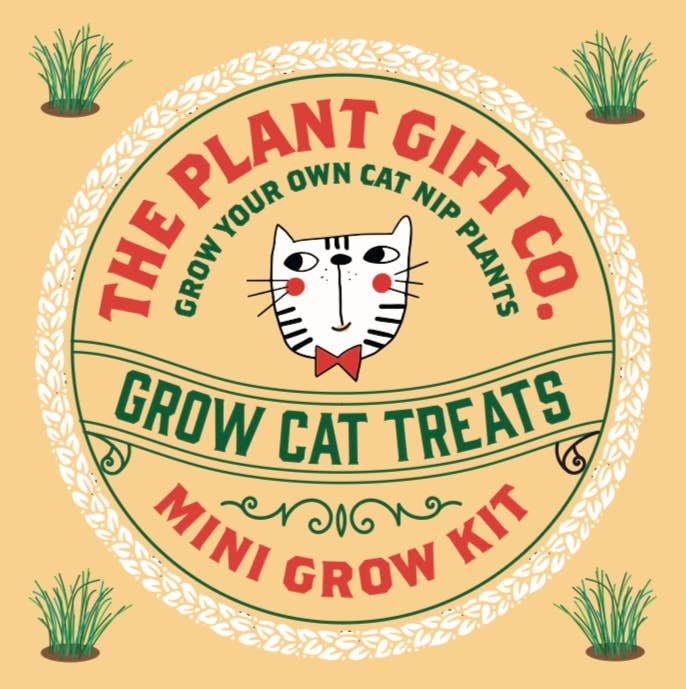 Eco Mini Grow Kit - Cat Nip / Nepeta cataria