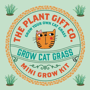 Eco Mini Grow Kit - Cat Grass