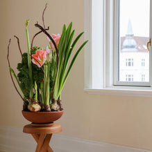 Load image into Gallery viewer, Ada Rose Plant Pots
