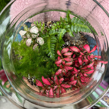 Load image into Gallery viewer, Make Your Own Sealed Terrarium Workshop
