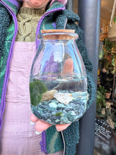 Load image into Gallery viewer, Marimo Moss Ball Terrarium - *Local Delivery or Local Pick Up Only*
