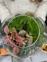 Load image into Gallery viewer, Large Low Sealed Terrarium - *Local Delivery or Local Pick Up Only*
