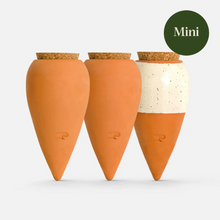 Load image into Gallery viewer, Trio of Mini Ceramic Hydrating Ollas
