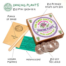 Load image into Gallery viewer, Eco Mini Grow Kit - Dancing Plants / Mimosa Pudica
