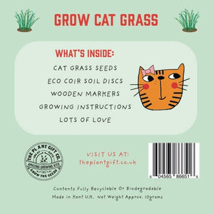 Eco Mini Grow Kit - Cat Grass