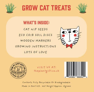 Eco Mini Grow Kit - Cat Nip / Nepeta cataria